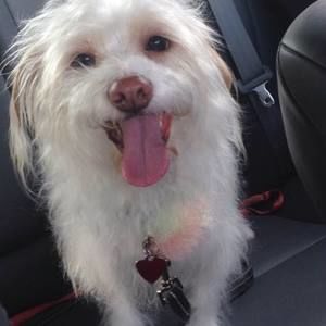 Meet your Posher, Darryl